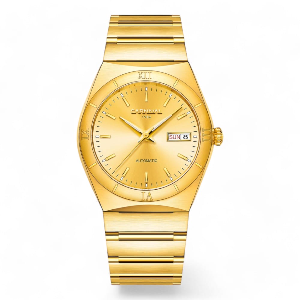 Đồng hồ nam Carnival 85811G-VV-V